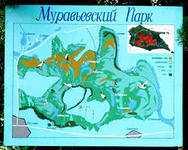 Муравьевский журавлиный парк назвали иностранным агентом