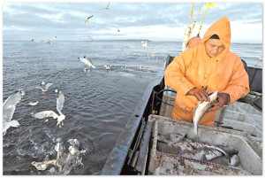 Рыбодобытчики Кубани просят у властей субсидии на оборудование