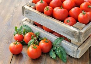 В Самаре уничтожили 344 кг санкционных томатов из Турции