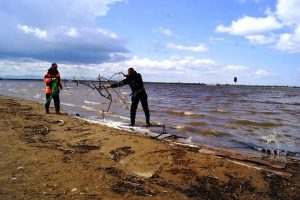 В Самаре волонтёры очистят береговую линию Октябрьского спуска