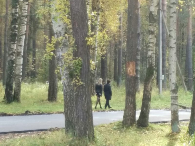 В Берендеевке с новенького асфальта изгнали костромичек на 20-сантиметровых каблуках