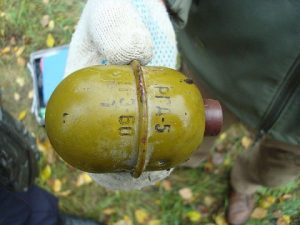 В Тольятти местный житель обнаружил в лесу боевую гранату без запала