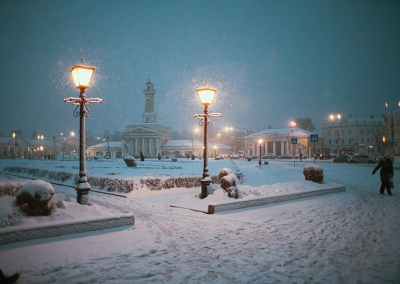 Кусты в центре Костромы уже закрыли от снега