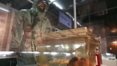 Фото вируса Эбола подарили врио губернатора в Кольцово