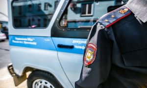 На свалке в Тольятти обнаружен труп новорождённой девочки