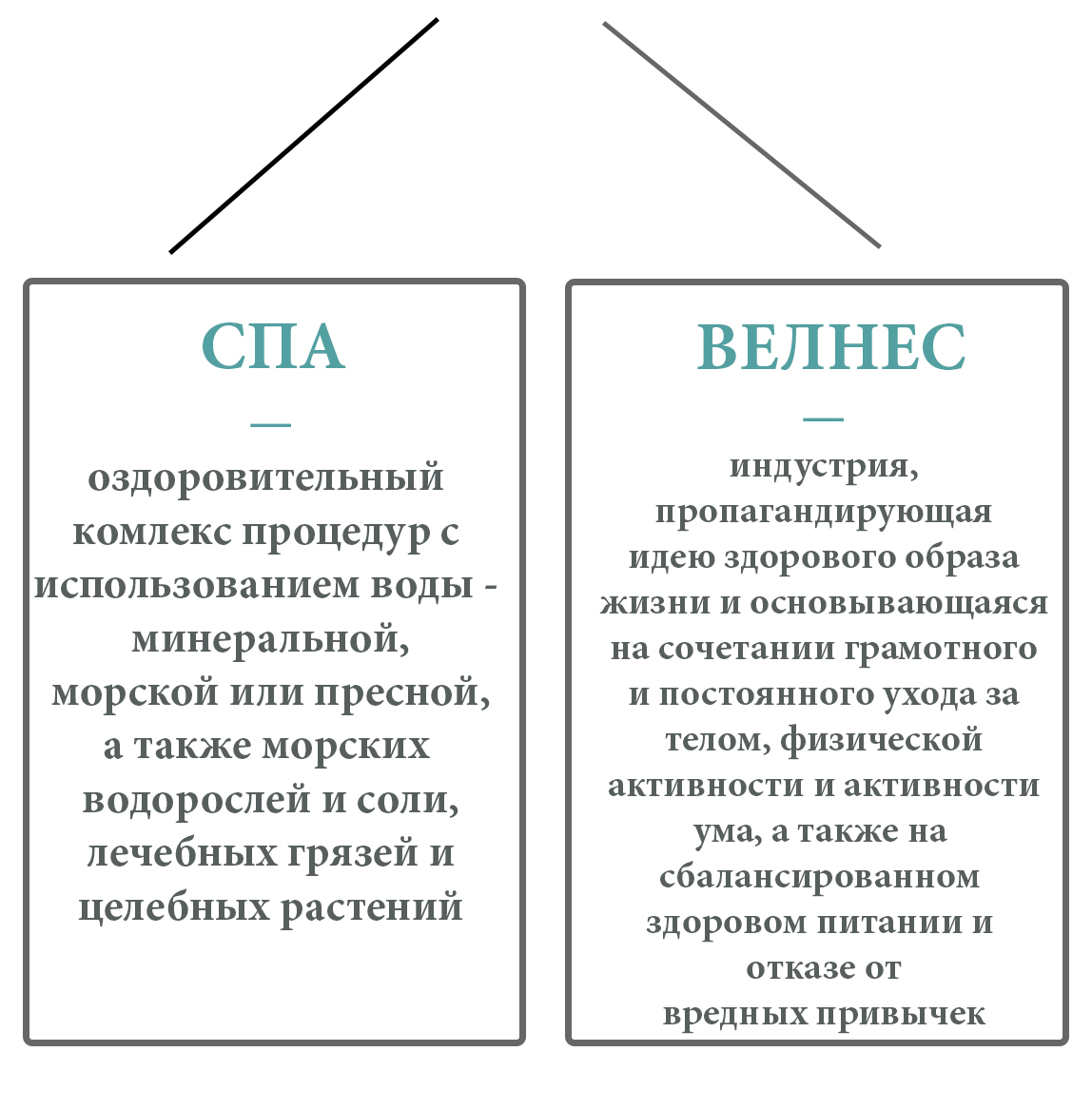 Россия улучшила позиции в мире по развитию спа и велнеса