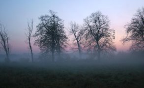 Синоптики Татарстана предупреждают о тумане и гололеде