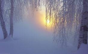 Часть районов Татарстана накроет туман