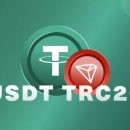 Лабиринты обмена криптовалют: транзакции USDT TRC20 через Сбербанк