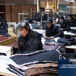 В теневом секторе экономики занято более 20 млн человек