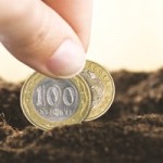 Начало сельскохозяйственного бизнеса