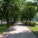 ​Аллея Семейной славы появилась в Ульяновске