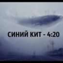 Сколько дадут организаторам «Синего кита»?
