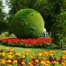 В Октябрьском районе Самары установят 182 цветущих конструкции