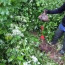 В Самаре около лыжной базы «Чайка» нашли 2,5 кг амфетамина