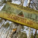 В Самарской области ожидается чрезвычайная пожароопасность лесов