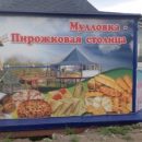 В Ульяновской области «пирожковая столица» погрязла в грязи и вони.