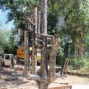 В Самаре 1 сентября запустят фонтан в честь 130-летия водопровода