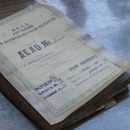История в деталях