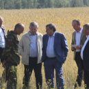 Гастарбайтеров здесь нет