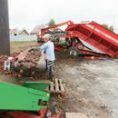 На картофельные поля позвали «суперэлиту»