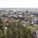 Подводные камни лесной амнистии