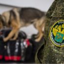 В Тольятти возбудили четыре уголовных дела за незаконное использование известных товарных знаков