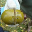 В Тольятти местный житель обнаружил в лесу боевую гранату без запала