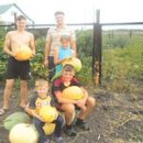 Четыре сыночка и принцесса