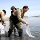 В наших озёрах водятся  даже «африканцы»