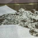 Литература как гигиена