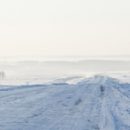 Сохраняя природу, думаем о будущем